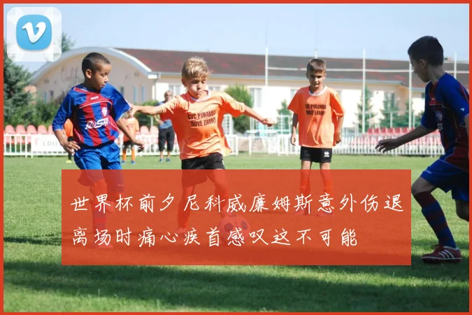 世界杯前夕尼科威廉姆斯意外伤退离场时痛心疾首感叹这不可能