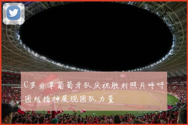 C罗分享葡萄牙队庆祝胜利照片呼吁团结精神展现团队力量